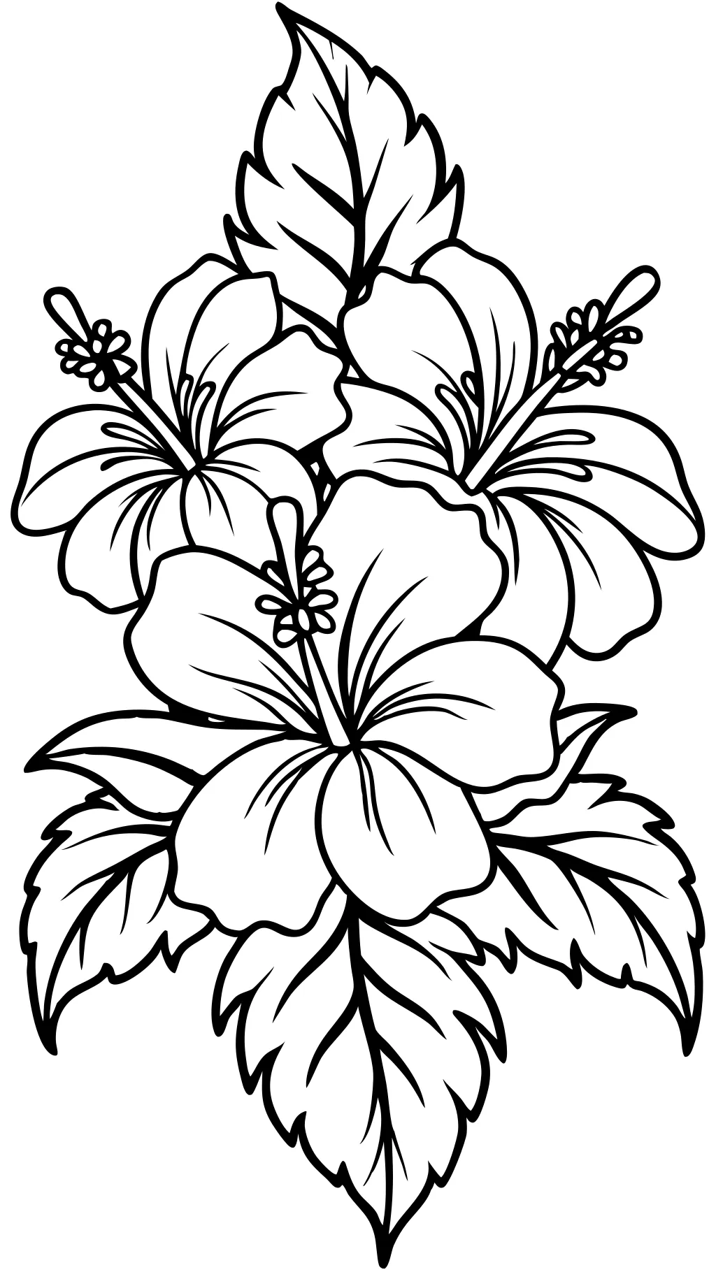 coloring pages of hibiscus flowers